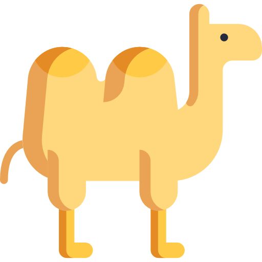 camel